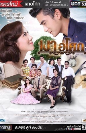 Дорама Цветок в тени онлайн