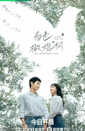 Дорама Белое оливковое дерево онлайн