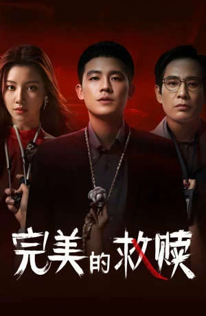 Дорама Идеальный подозреваемый онлайн